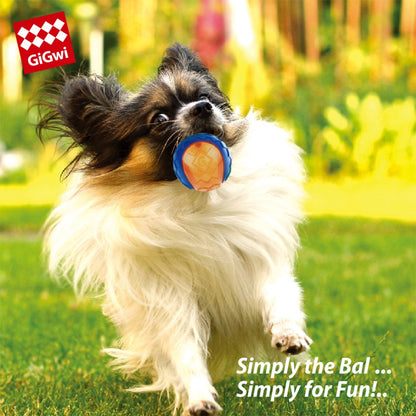 Dog Squeaky Toy Ball Non-toxic Rubber