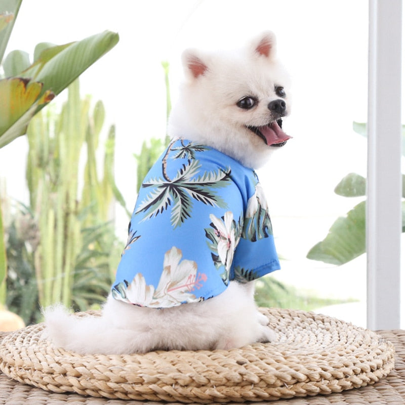 Thin Breathable Summer Dog Clothes for Small Dogs